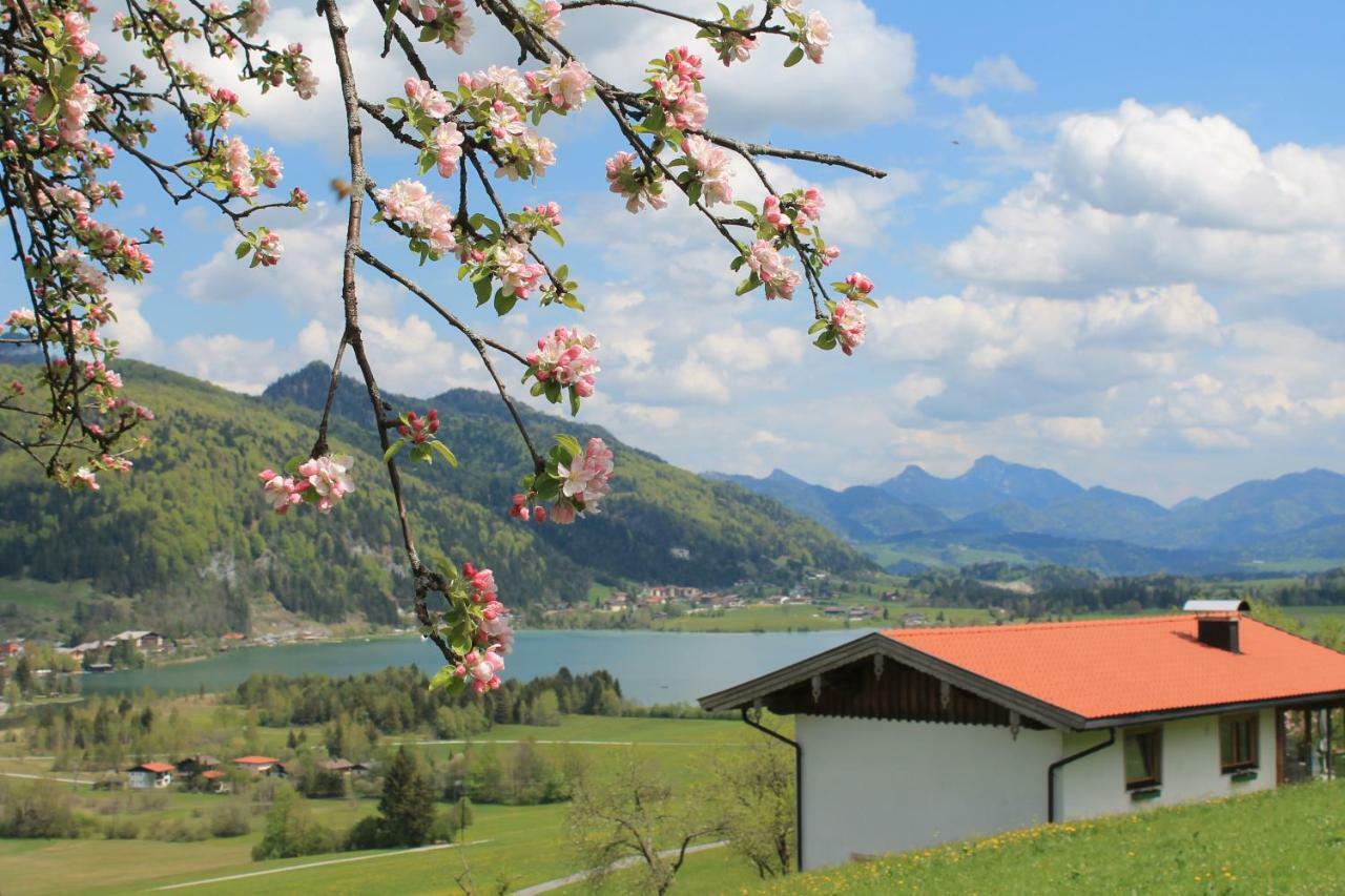 왈츠시 Chalet Strobl 빌라 외부 사진